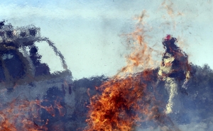 Incêndios: Proteção Civil proíbe queimas e queimadas a partir de domingo