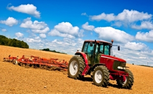 Orçamento Do Estado | Despesa com a agricultura vai aumentar 7,2% em 2017