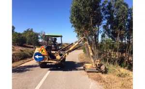 Autarquia promove ações de limpeza de bermas e caminhos para prevenir incêndios florestais  
