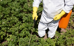 DGAV anuncia período de transição para aplicadores de fitofarmacêuticos