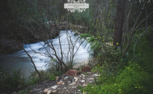 Caminhada/Trail «Rota da Água em Querença» - 17 de abril