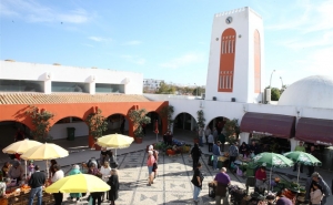 Abertura de novo concurso para exploração de bancas no Mercado Municipal dos Caliços 