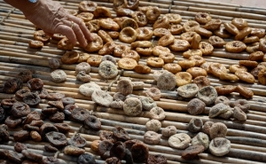 OFICINA «FAZER ESTEIRAS EM CANA» PROMOVE PRESERVAÇÃO DAS TRADIÇÕES EM LOULÉ 