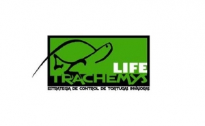 Libertação de Cágados na Quinta do Lago