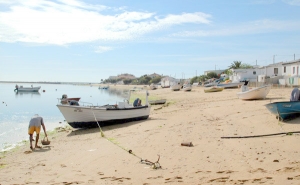 Câmara foi desleal no processo de demolições nas ilhas - Aliança Salvar Faro