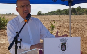 Loulé vai plantar milhares de árvores nos próximos cinco anos
