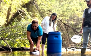 Projeto Falanges - Repovoamento de escalos-do-Arade na Ribeira de Odelouca