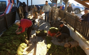 Cortelha inaugura Presépio em Cortiça com Festa de Natal