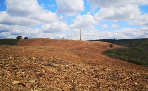 Iniciados Trabalhos de Manutenção e Limpeza da Rede Primária das Faixas de Gestão de Combustível