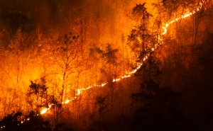 Três concelhos dos distritos de Faro com risco máximo de incêndio