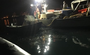 Apreendidas 400kg de cavala em embarcação em Portimão