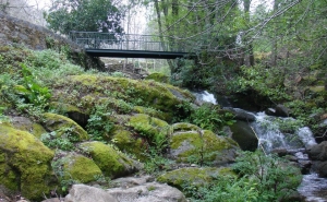 Governo aprova medidas excecionais para agilizar obras na zona de Monchique 