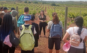 ALUNOS DE SILVES DESCOBREM AS ESTÓRIAS POR TRÁS DAS UVAS