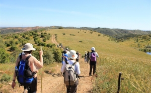 Recriação da Matança do Porco é tema de Passeio Pedestre na Cortelha