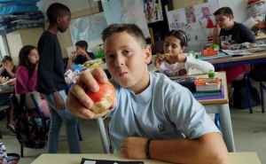 6 em cada 10 crianças portuguesas não ingerem fruta e legumes na quantidade certa