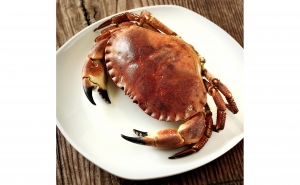 TIVOLI MARINA PORTIMÃO RECEBE  FESTIVAL DA SAPATEIRA