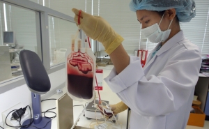 Campanha alerta população sobre cancros de sangue e apela para informação