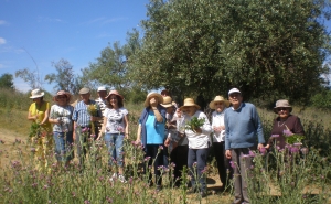Semana Sénior de Tavira