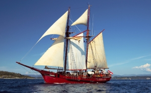 Veleiro «Atyla» aberto para visitas no Porto de Recreio de Sines