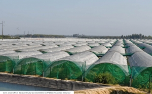  Autarcas de Aljezur e Odemira contestam Resolução do Conselho de Ministros   