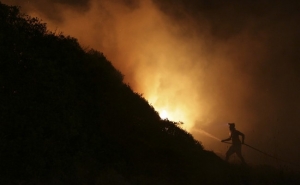 Grandes incêndios de 2017 afetaram cerca de 10.000 empregos