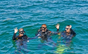 CINCO RAZÕES PARA NÃO PERDER A ALGARVE NATURE WEEK 