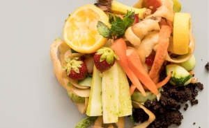 Município de Lagoa reforça compromisso ambiental e destaca resultados na gestão de biorresíduos