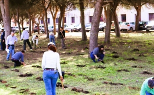 SEA-EU mobiliza comunidade académica para reforçar resiliência do Campus de Gambelas