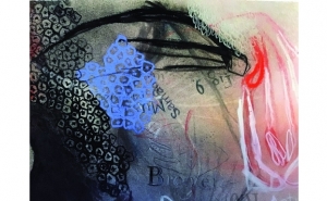 Novas exposições em Lagos: uma explosão de cores do Algarve, Ártico e Amazónia