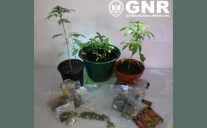 Benafim | Praticante de caravanismo detido por tráfico de estupefacientes