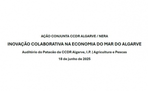 Sessão dedicada à Inovação na Economia do Mar decorre nesta quarta-feira