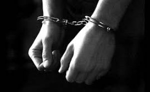 2 Detidos por posse de armas e animais selvagens em Quarteira