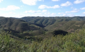 São Brás de Alportel avança com Estratégia de Prevenção de Incêndios Rurais 2018