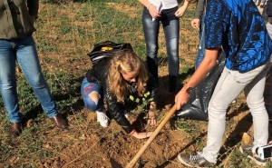 DIA INTERNACIONAL DAS FLORESTAS ASSINALADO NO CONCELHO DE LOULÉ