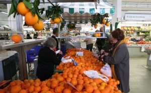Mercado Av. S. João de Deus promove Festa da Laranja pelo 9.º ano consecutivo