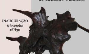 Exposição «Caprichos da natureza» de Arménio Palmeira