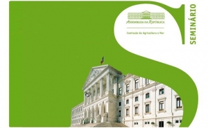 «A CLUSTERIZAÇÃO DO MAR E AS ATIVIDADES NO MAR»