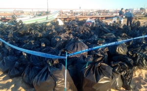 Mais de 500 pessoas removeram 90 toneladas de óleo vegetal da ria Formosa 