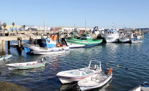 Porto de Pesca de Olhão será palco de exercício de combate à poluição do mar