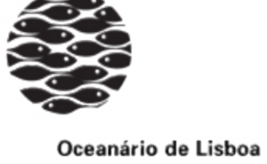 PORTIMÃO RECEBE O VAIVÉM OCEANÁRIO A 17 DE AGOSTO
