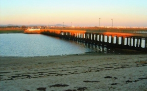 Renaturalização dos ilhores da Ria Formosa concluída até verão de 2015