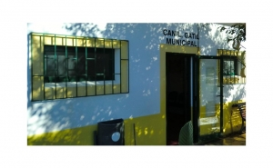 Câmara de Loulé abre processo disciplinar ao veterinário municipal