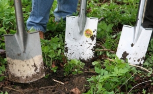 PROLONGADO POR MAIS UM ANO A ISENÇÃO DE CUSTOS DE GESTÃO DA BOLSA DE TERRAS