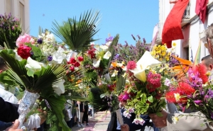 São Brás de Alportel cancela Festa das Tochas Floridas