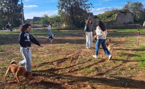 Cãominhada promove bem-estar e solidariedade em Olhão