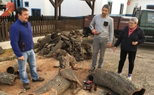 Cortiça, cana, musgo e pedras de ribeira fazem o Presépio da Cortelha