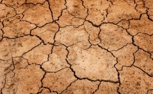 Seca: Regantes de Silves, Lagoa e Portimão ativam plano de contingência e reduzem fornecimento de água