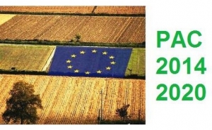 APRESENTAÇÃO DA PAC 2014-2020 EM VÍDEO