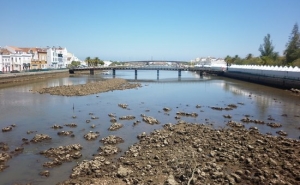 Associações relacionam dragagens no Rio Gilão com lixo que deu à costa em Tavira