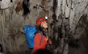 Cinco novos pseudoescorpiões descobertos em Portugal, dois dos quais no Algarve 